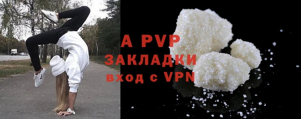 сатива Белоозёрский
