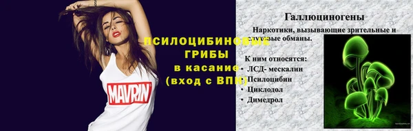 крисы Беломорск