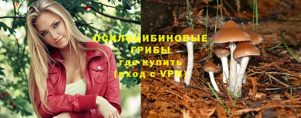 сатива Белоозёрский