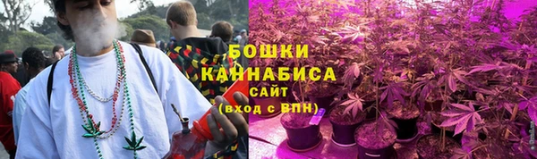 сатива Белоозёрский