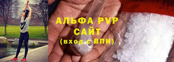 кокс Богородицк